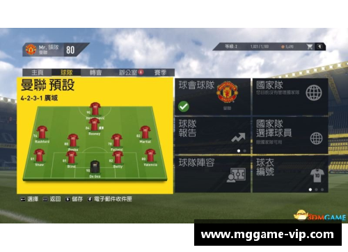 全方位解析：职业足球球员的生涯轨迹与成就探究